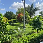 Home In Fuoni